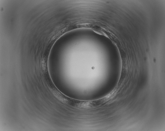 X0000067910086200604131354