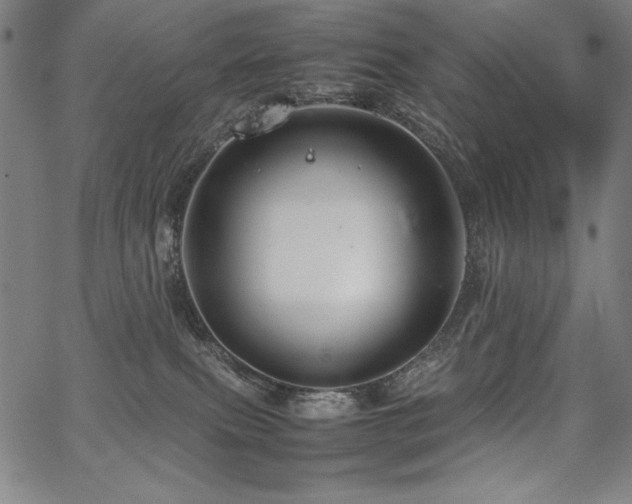 X0000067910087200604131354