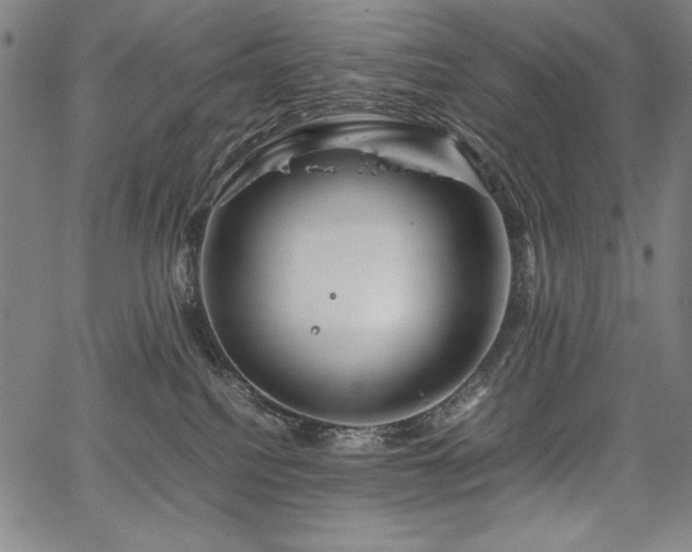 X0000067910088200604131354