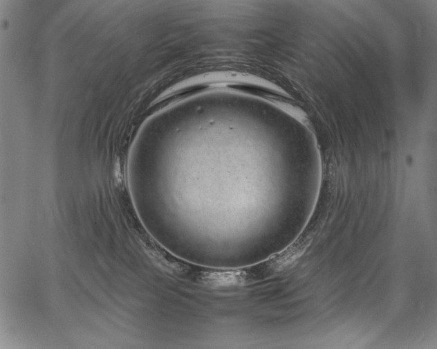 X0000067910089200604131354