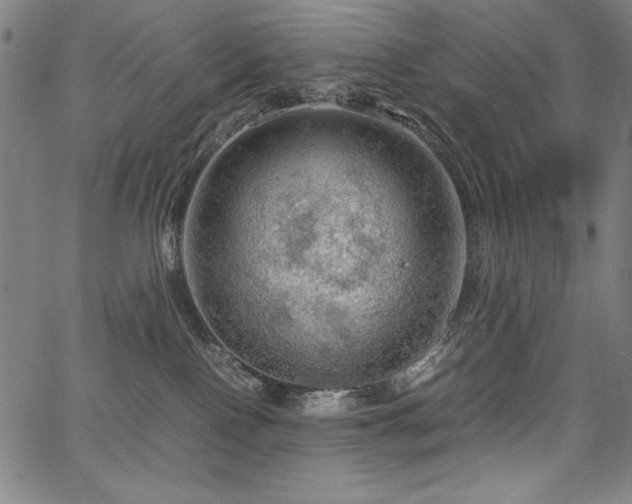 X0000067910090200604131354