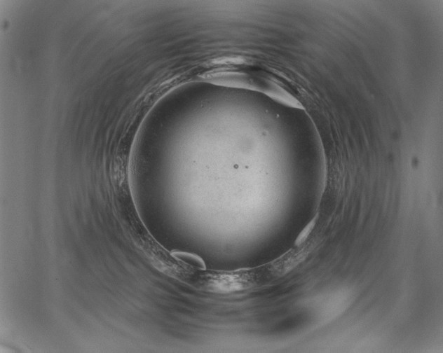 X0000067910091200604131354