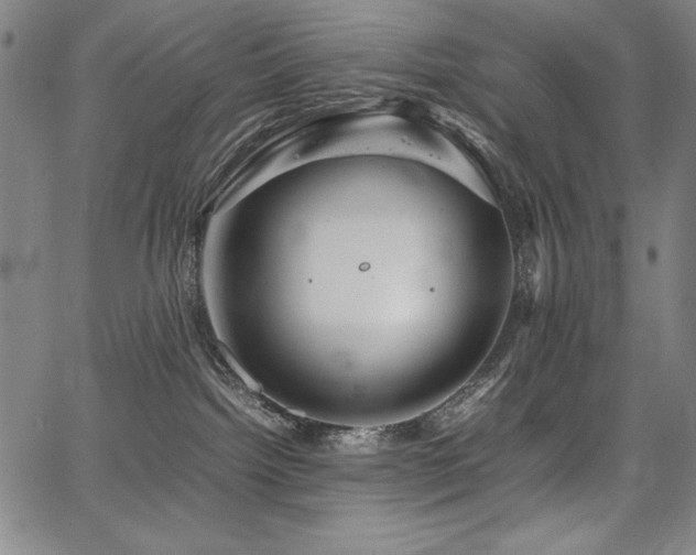 X0000067910092200604131354