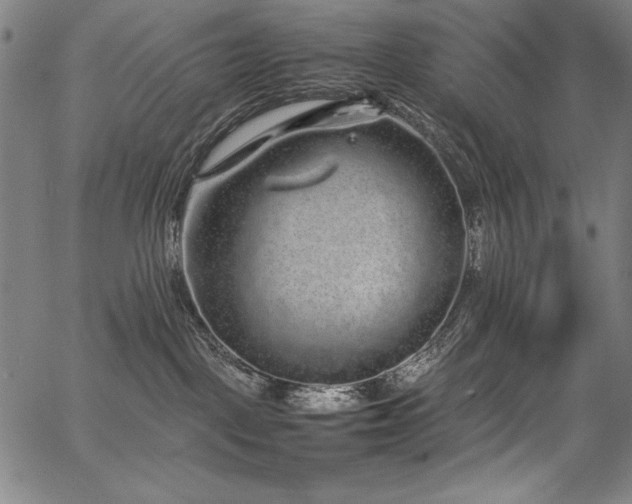 X0000067910093200604131354