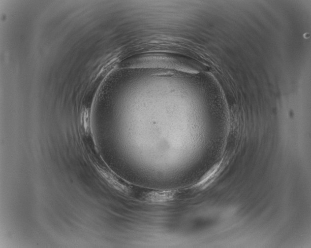 X0000067910094200604131354