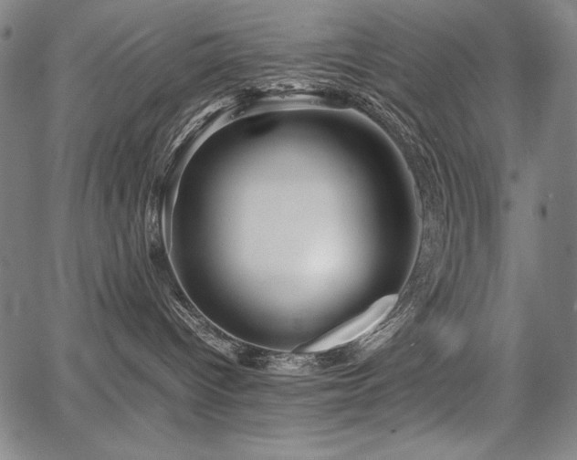 X0000067910096200604131354