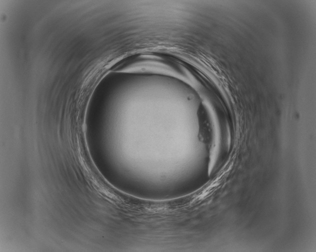 X0000067910097200604131353