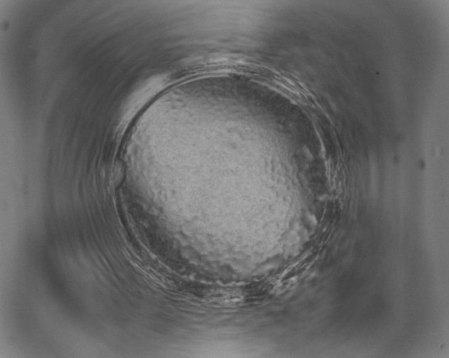 X0000067910099200604131353