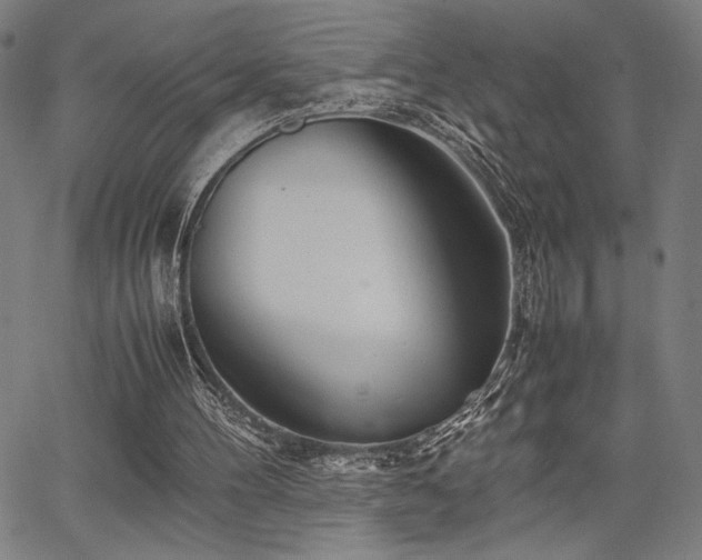 X0000067910100200604131353