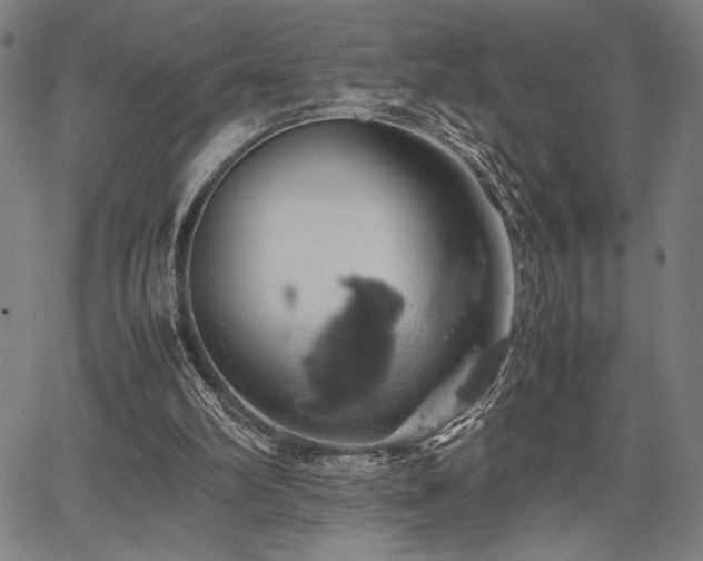 X0000067910102200604131353