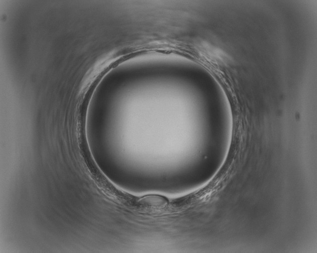 X0000067910103200604131353