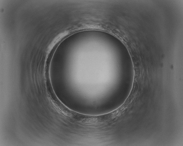 X0000067910104200604131353