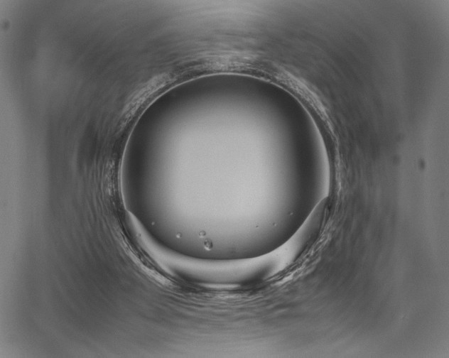 X0000067910105200604131353