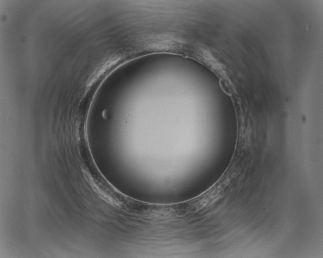 X0000067910106200604131353