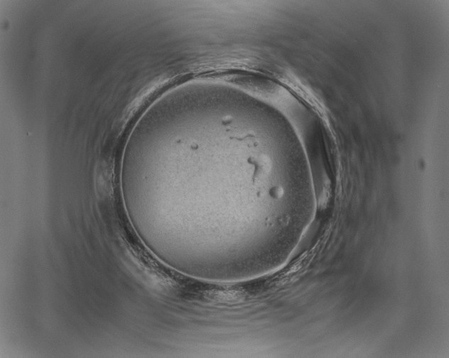 X0000067910107200604131353