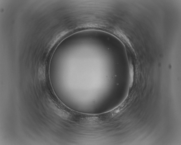 X0000067910108200604131353