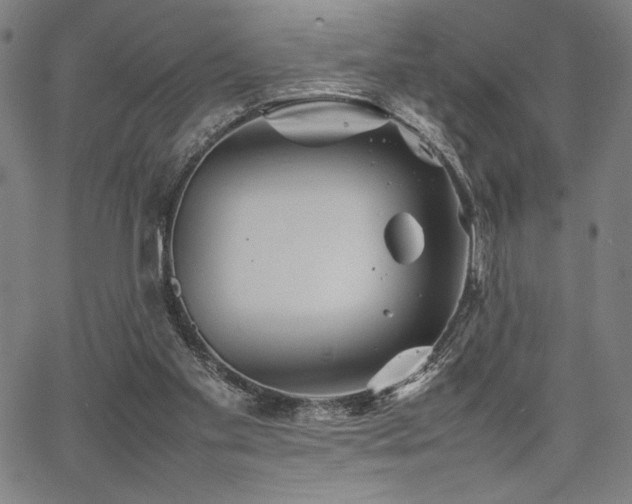 X0000067910109200604131353