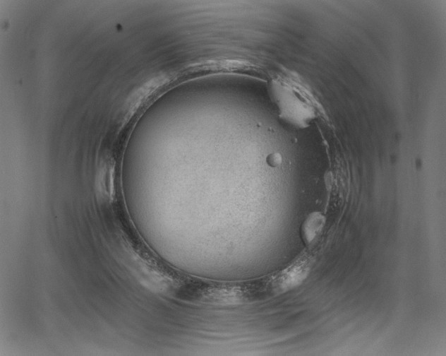 X0000067910110200604131353