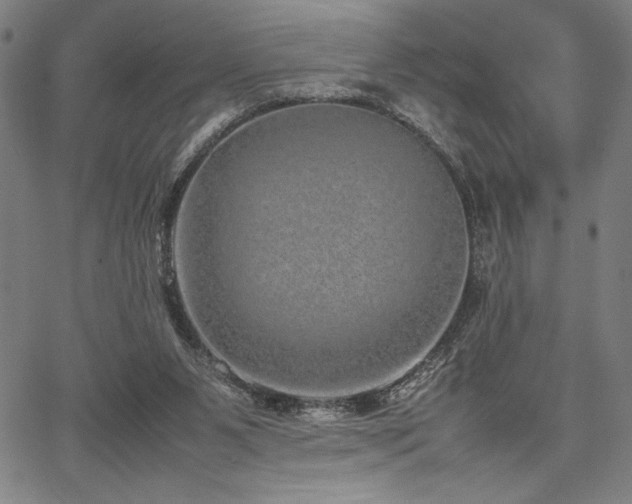 X0000067910111200604131353