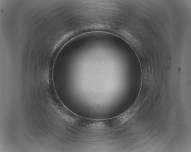 X0000067910112200604131353