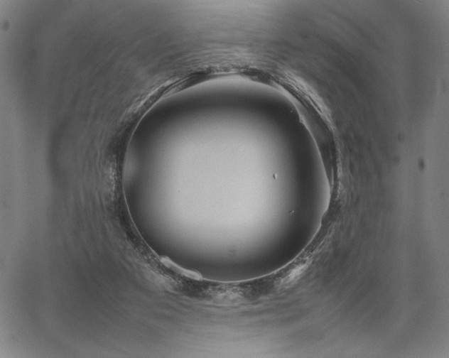 X0000067910113200604131353