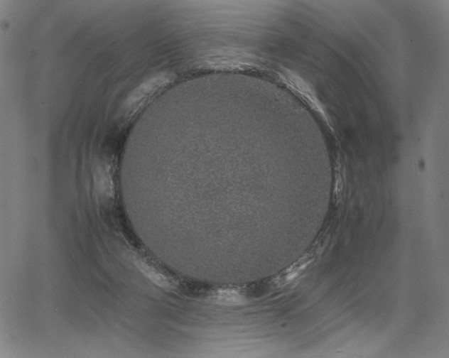 X0000067910114200604131353