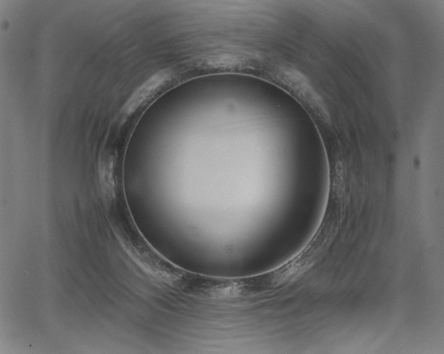 X0000067910116200604131353