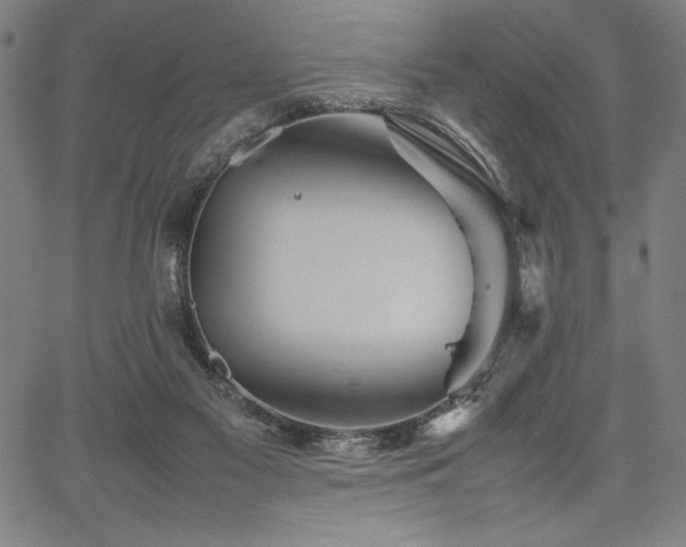 X0000067910117200604131353