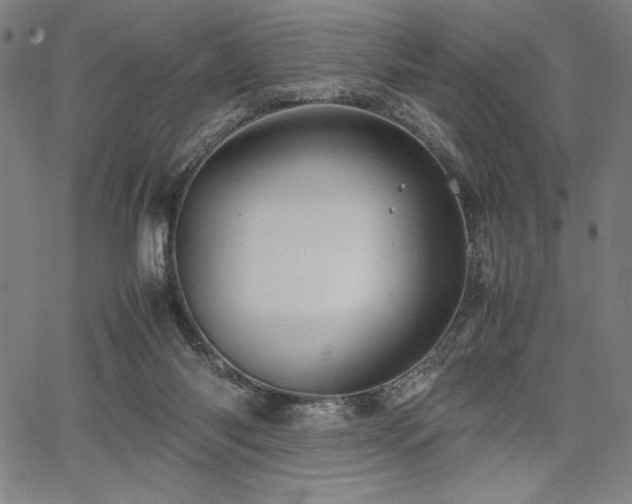 X0000067910118200604131353