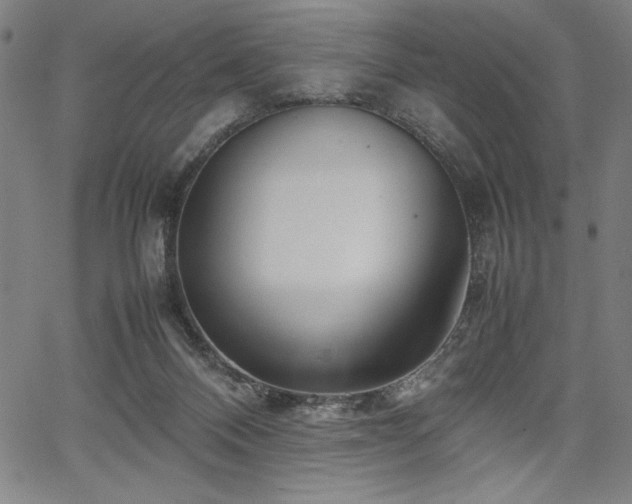 X0000067910120200604131353