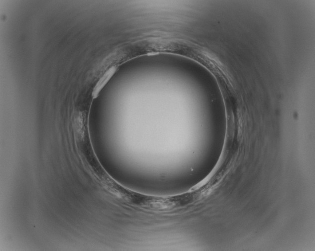 X0000067910121200604131353