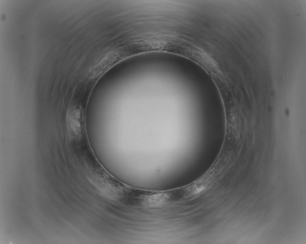 X0000067910122200604131353