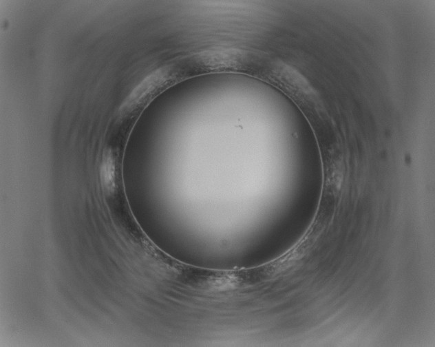 X0000067910124200604131353