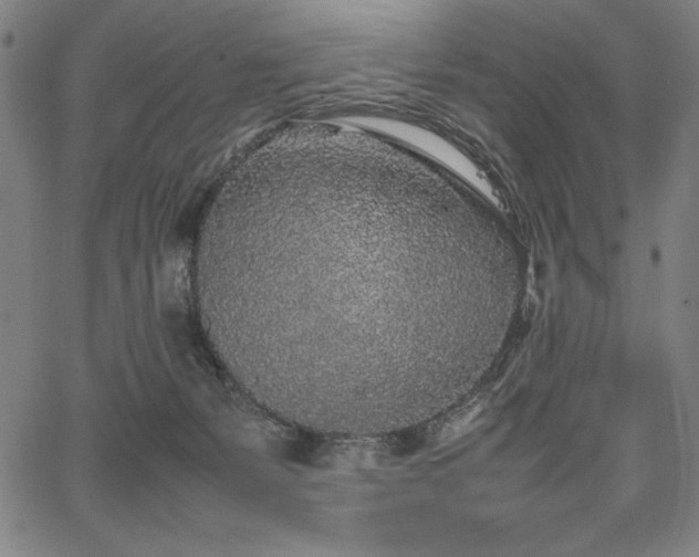 X0000067910127200604131353