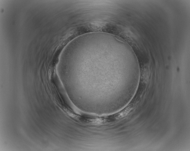 X0000067910131200604131353