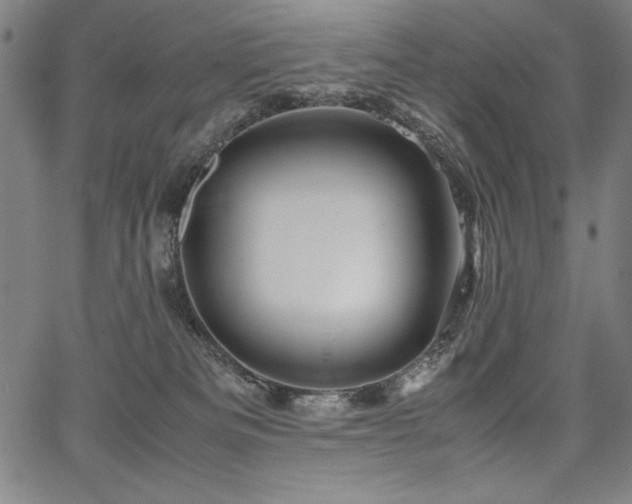 X0000067910133200604131353