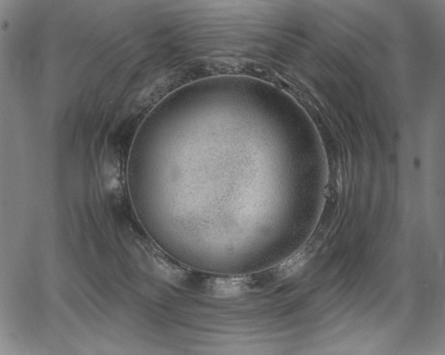 X0000067910134200604131353