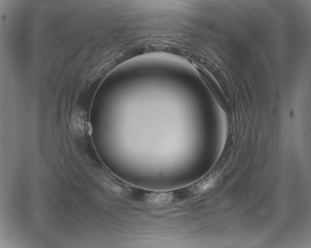 X0000067910135200604131353