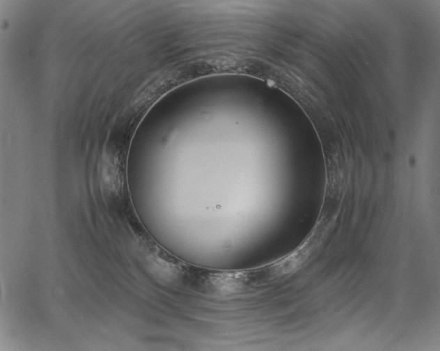 X0000067910136200604131353