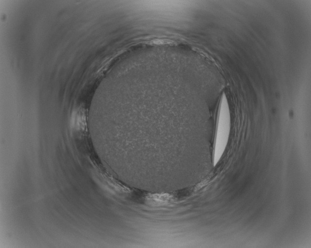 X0000067910137200604131353