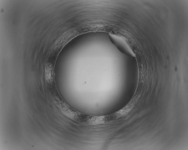 X0000067910138200604131353