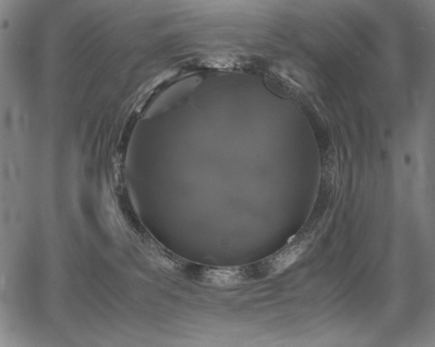 X0000067910139200604131353