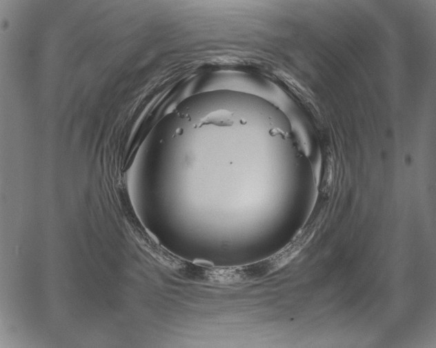 X0000067910141200604131353