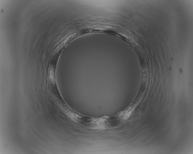 X0000067910143200604131353