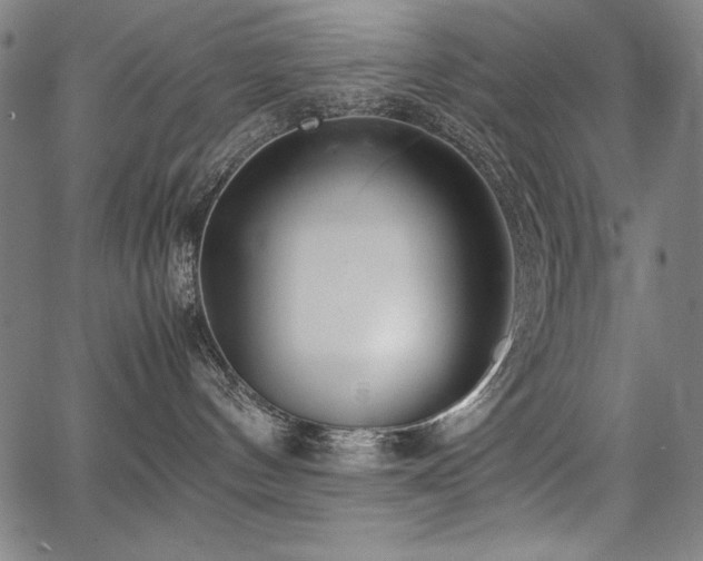 X0000067910144200604131353