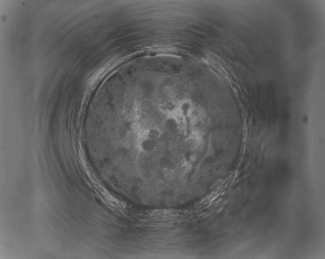 X0000067910145200604131352