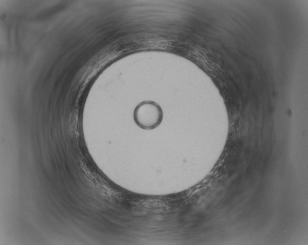 X0000067910146200604131352