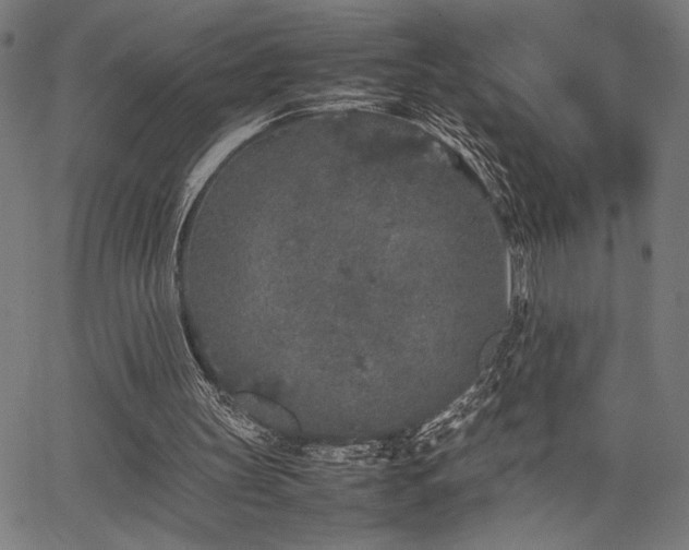 X0000067910147200604131352