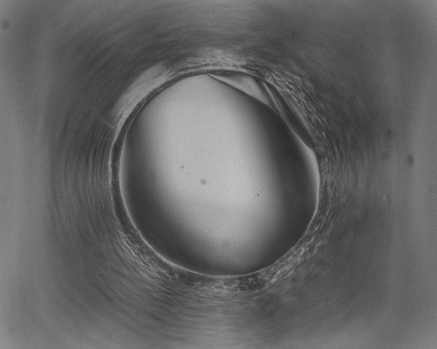 X0000067910148200604131352