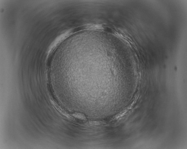 X0000067910149200604131352